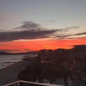 Meet your Posher, Talia